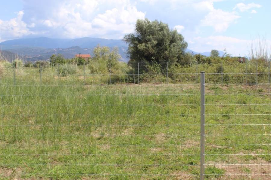 (For Sale) Land Plot || Fokida/Efpalio - 351 Sq.m, 32.500€ 