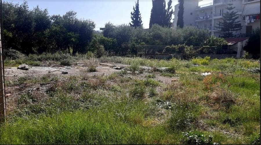 (For Sale) Land Plot || Fokida/Itea - 962 Sq.m, 170.000€ 