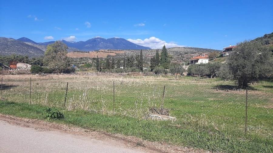 (For Sale) Land Agricultural Land  || Fokida/Itea - 5.295 Sq.m, 80.000€ 