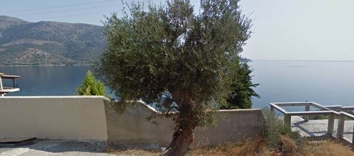 (For Sale) Land Plot || Fokida/Tolofona - 501 Sq.m, 70.000€ 