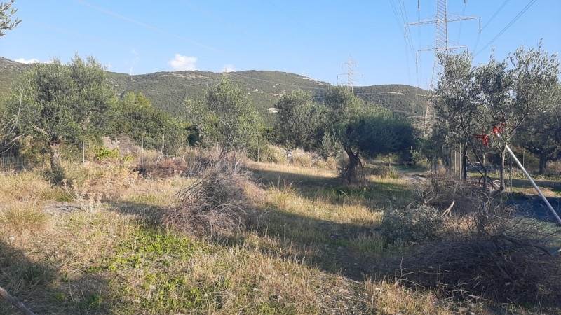 (For Sale) Land Agricultural Land  || Fokida/Efpalio - 2.000 Sq.m, 12.000€ 