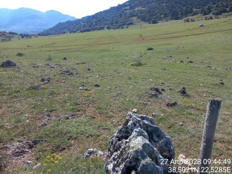 (For Sale) Land Agricultural Land  || Voiotia/Arachova - 7.660 Sq.m, 130.000€ 