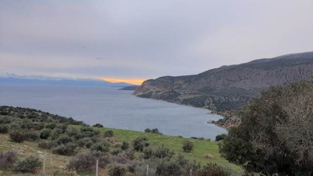 (Προς Πώληση) Αξιοποιήσιμη Γη Αγροτεμάχιο || Ν. Φωκίδας/Γαλαξίδι - 4.475 τ.μ, 60.000€ 