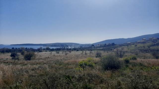 (For Sale) Land Agricultural Land  || Fokida/Galaxidi - 4.015 Sq.m, 86.000€ 