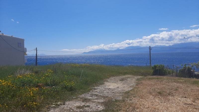 (Προς Πώληση) Αξιοποιήσιμη Γη Οικόπεδο || Ν. Φωκίδας/Τολοφώνα - 512 τ.μ, 55.000€ 