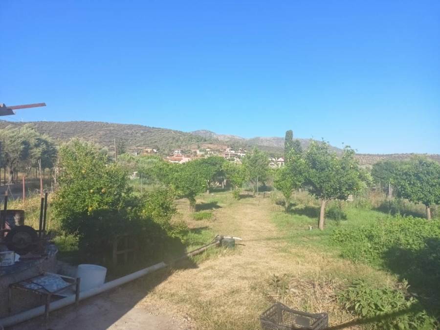 (For Sale) Land Plot || Fokida/Tolofona - 370 Sq.m, 40.000€ 