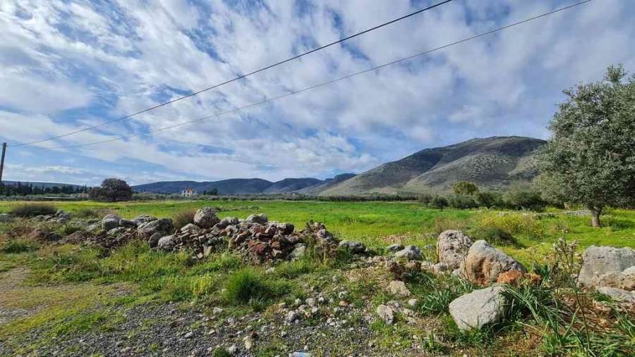 (Προς Πώληση) Αξιοποιήσιμη Γη Αγροτεμάχιο || Ν. Φωκίδας/Γαλαξίδι - 4.015 τ.μ, 27.000€ 