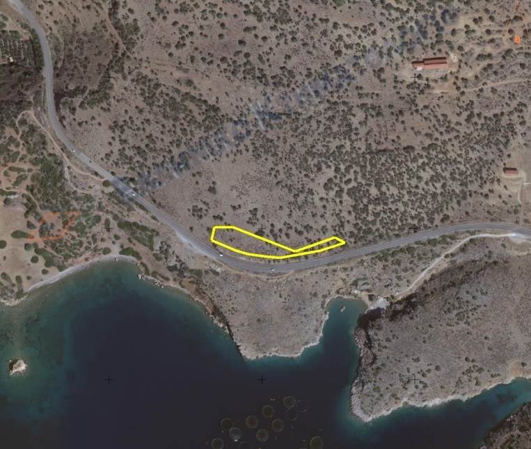 (For Sale) Land Plot || Fokida/Tolofona - 4.419 Sq.m, 50.000€ 