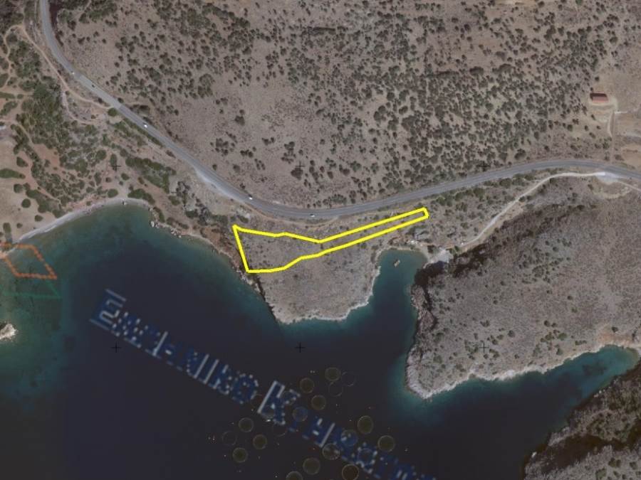 (For Sale) Land Plot || Fokida/Tolofona - 6.633 Sq.m, 90.000€ 