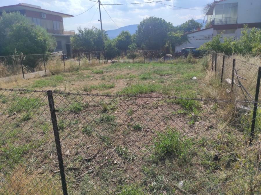 (Προς Πώληση) Αξιοποιήσιμη Γη Οικόπεδο || Ν. Φωκίδας/Ιτέα - 219 τ.μ, 35.000€ 