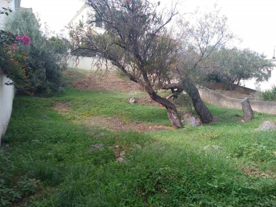 (For Sale) Land Plot || Fokida/Galaxidi - 349 Sq.m, 135.000€ 