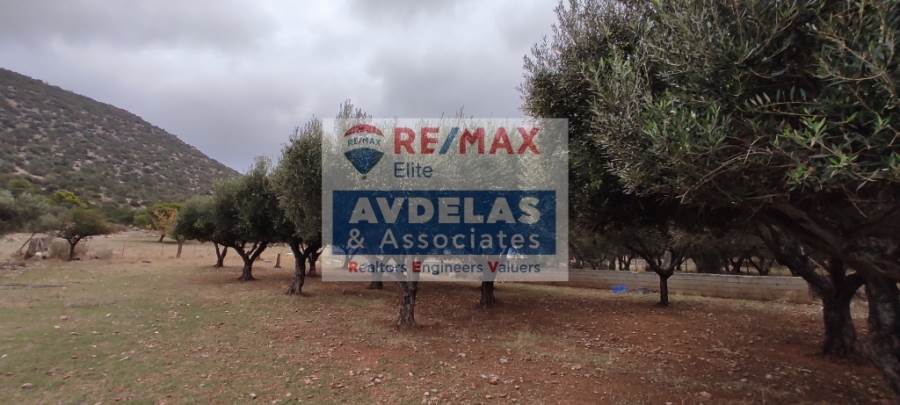 (For Sale) Land Agricultural Land  || East Attica/Marathonas - 3.200 Sq.m, 45.000€ 