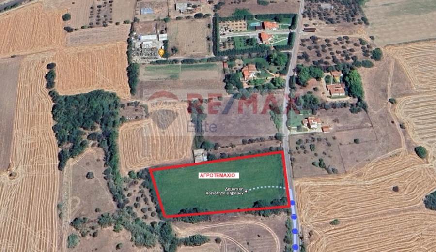 (For Sale) Land Agricultural Land  || Voiotia/Thiva - 6.576 Sq.m, 65.000€ 