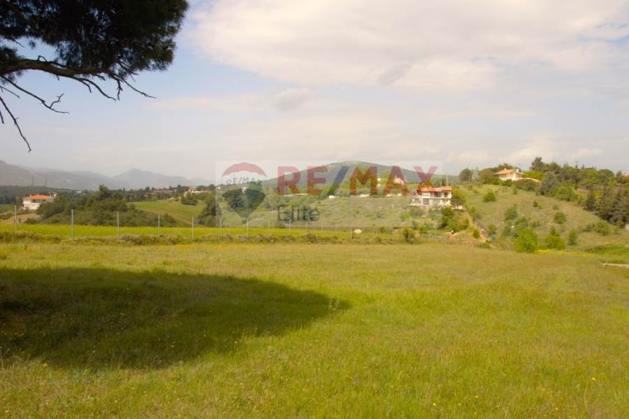 (For Sale) Land Agricultural Land  || East Attica/Kapandriti - 6.421 Sq.m, 200.000€ 