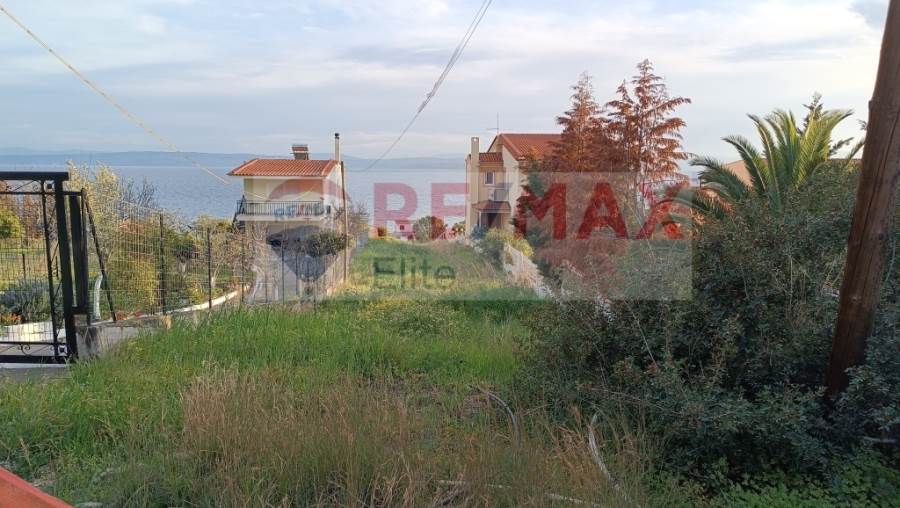 (Προς Πώληση) Αξιοποιήσιμη Γη Οικόπεδο || Ν. Εύβοιας/Λίμνη - 1.000 τ.μ, 100.000€ 