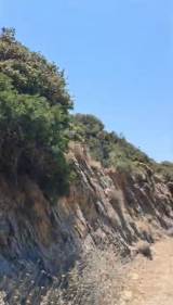 slide1 thumbnail
