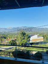 slide1 thumbnail