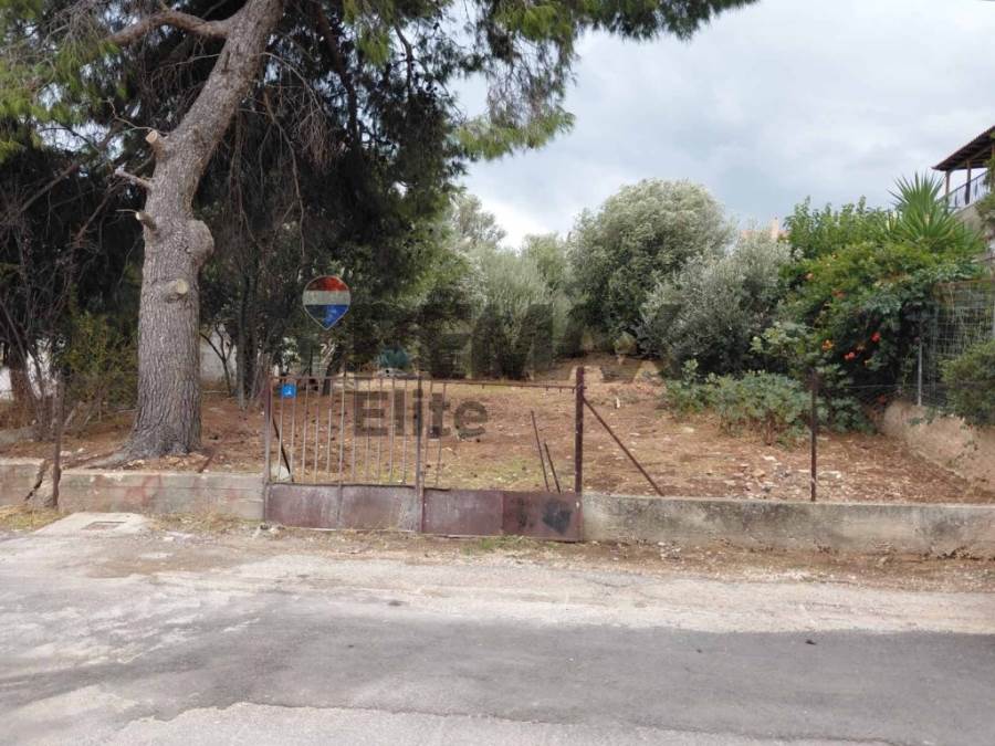(Προς Πώληση) Αξιοποιήσιμη Γη Οικόπεδο || Ανατολική Αττική/Νέα Μάκρη - 335 τ.μ, 120.000€ 